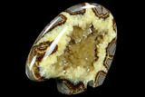 Calcite Crystal Filled, Polished Septarian Bear - Utah #123851-1